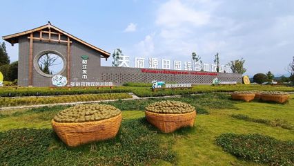 拼 兩手抓 | 防疫農事兩不誤!都江堰獼猴桃生產銷售有序復工復產!