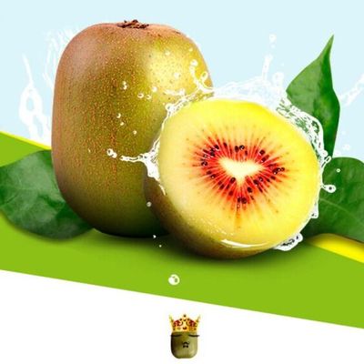 蒼溪縣原產地紅心獼猴桃