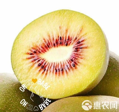 四川特產水果 紅心獼猴桃 奇異果 好吃不膩