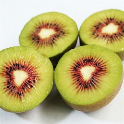 高山鮮果 蒼溪紅心獼猴桃4kg禮盒優果 單果75 89g