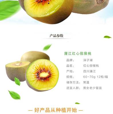 【郵樂溆浦館】蒲江紅心獼猴桃奇異果當季新鮮水果現摘現發壞果包賠12粒裝單果60-70克