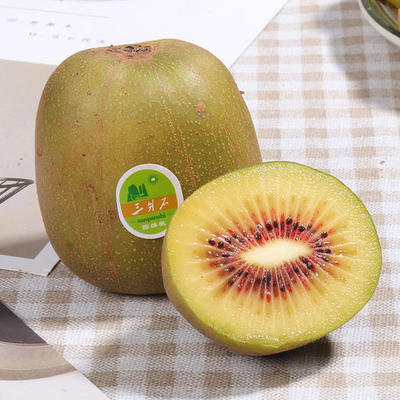 紅心獼猴桃批發市場