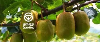 后廚調味丨穿越江河的川菜之魂,送來古蜀之地的悠悠醬香