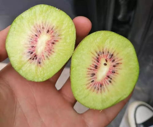 恒維地產精準扶貧 紅心獼猴桃助力貧困戶走向幸福生活