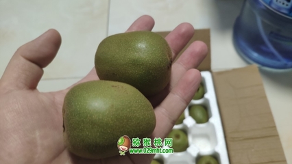 一盒五斤紅心獼猴桃大概有多少個？