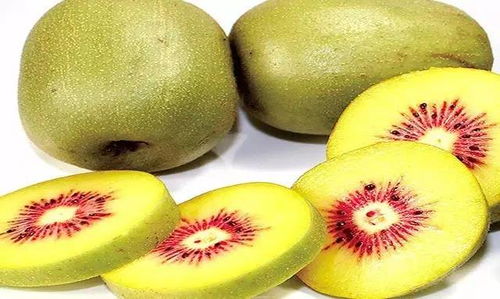 國慶有福利，紅心獼猴桃 你消費，我買單