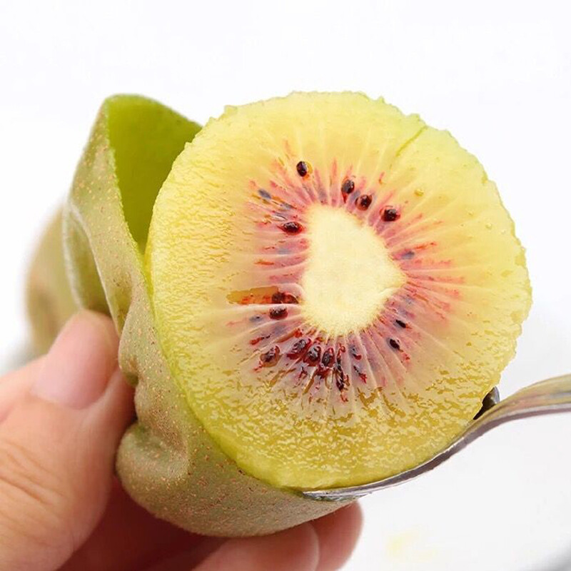 品味“帆兒莊園”紅心獼猴桃 四川浦江的自然饋贈，甜蜜與營養的融合