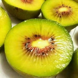 浦江紅心獼猴桃 紅寶石般的甜蜜珍饈